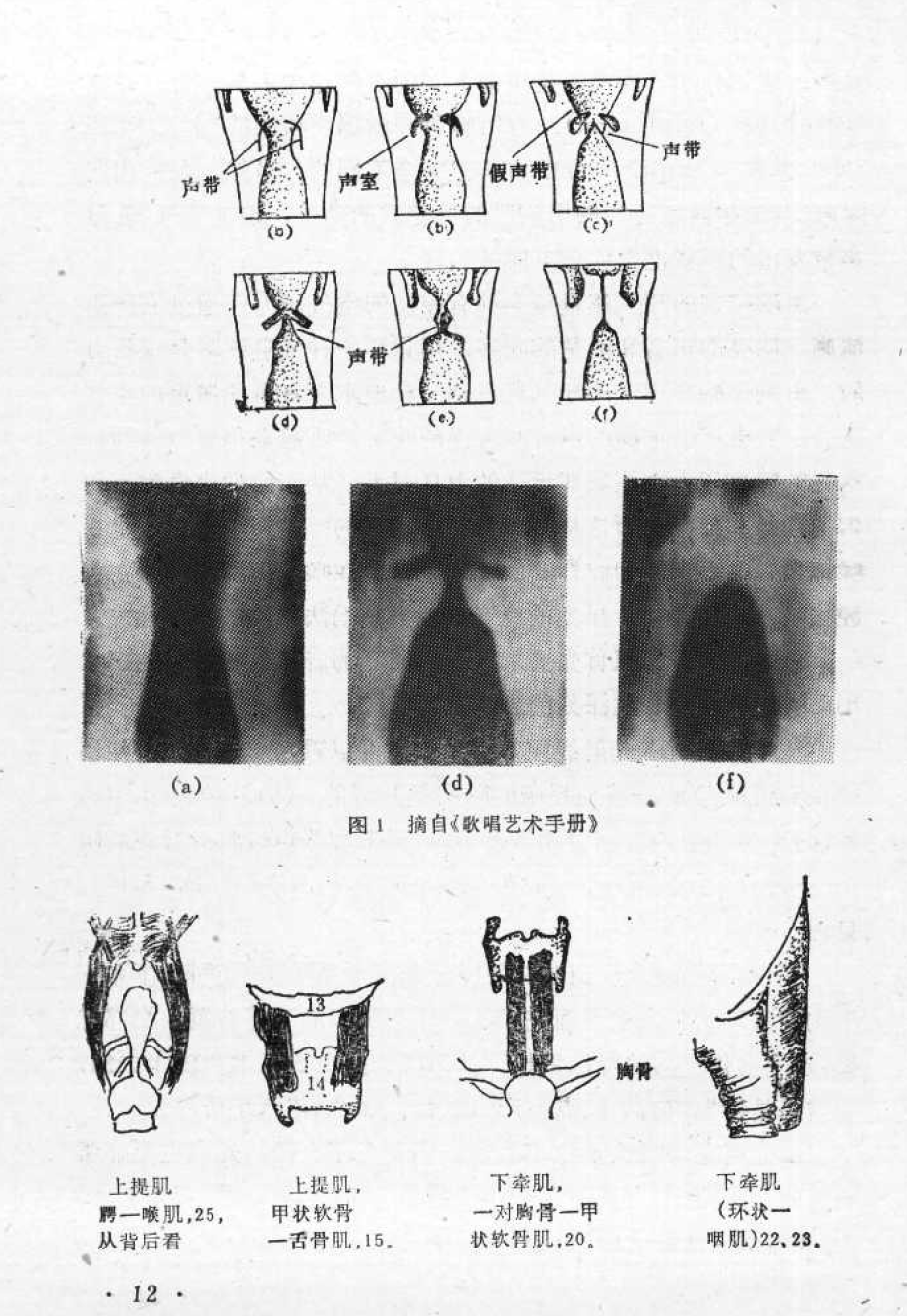 声乐教学笔记《喉头向下挡气吐字发音法》