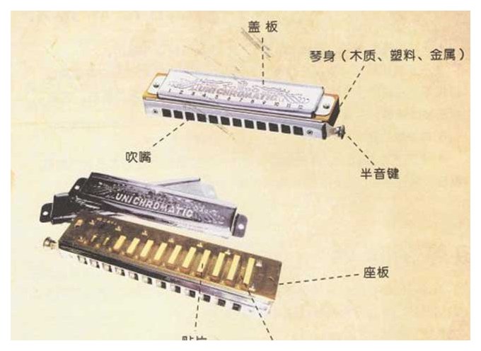 半音阶口琴音阶与构造图解