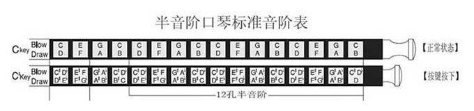半音阶口琴音阶与构造图解