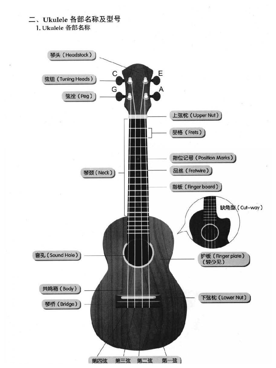 Ukulele各部名称 尤克里里型号