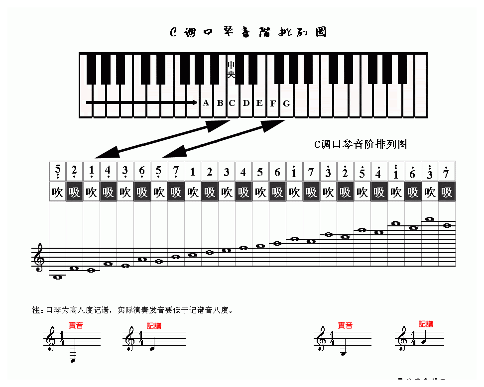 24孔口琴C调音阶排列图