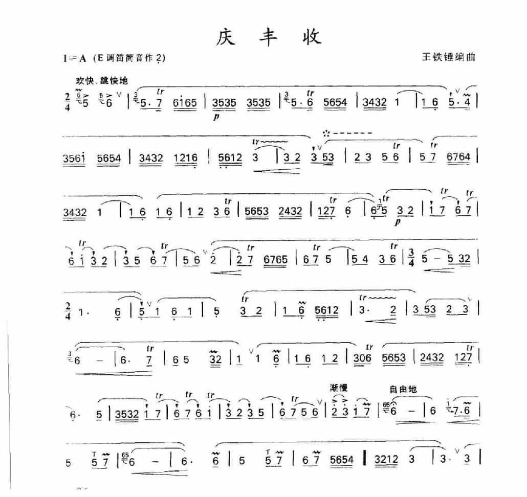 笛子名曲[庆丰收&王铁锤编曲]