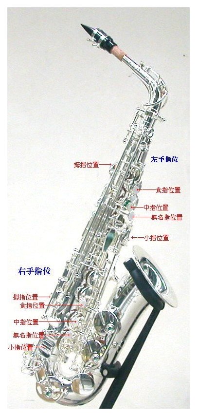 萨克斯结构介绍 萨克斯结构图文详解
