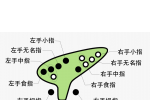 十二孔陶笛持笛方法图解