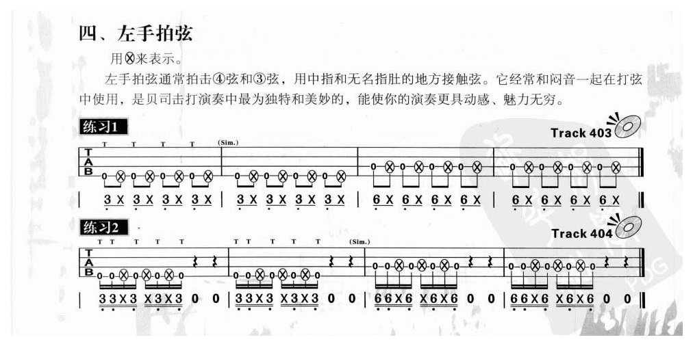 贝司击弦技术Slap《左手拍弦》