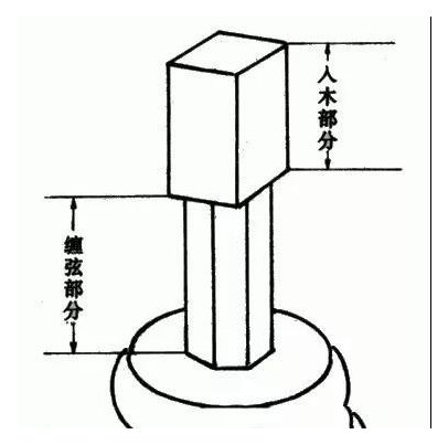古琴的构造与特点
