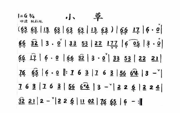 小号简谱【小草】