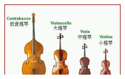管弦乐队的弦乐器简介