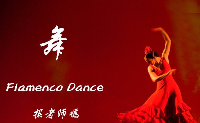 二胡独奏曲美丽的西班牙女郎简介