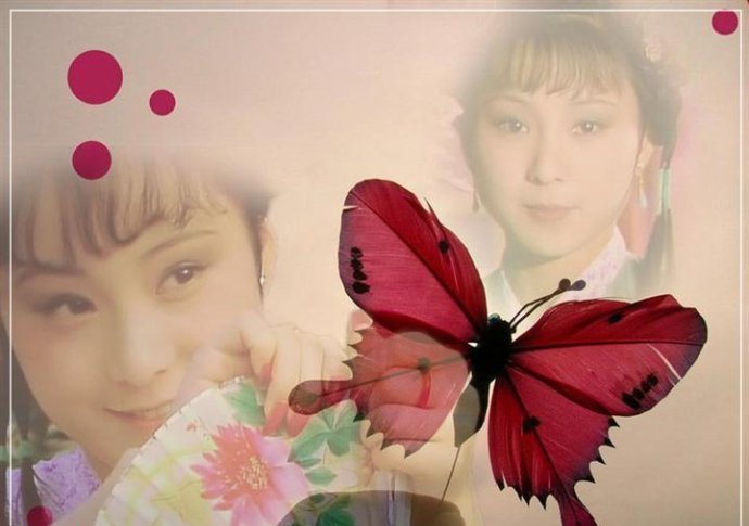 隋萍萍唢呐曲晴雯歌简介
