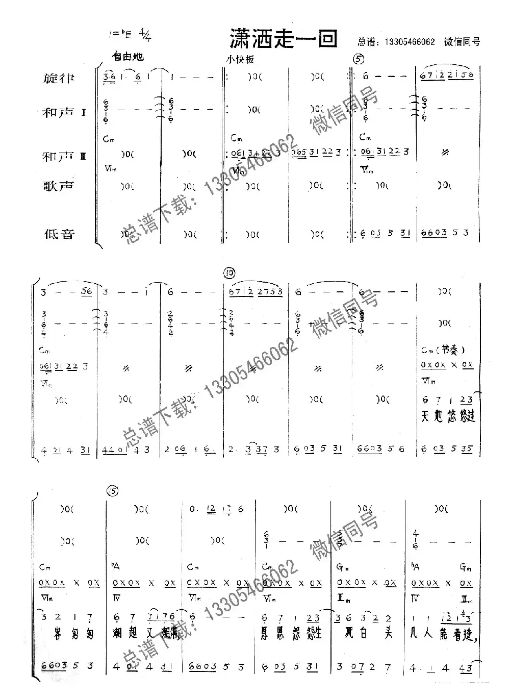 潇洒走一回（乐队总谱）