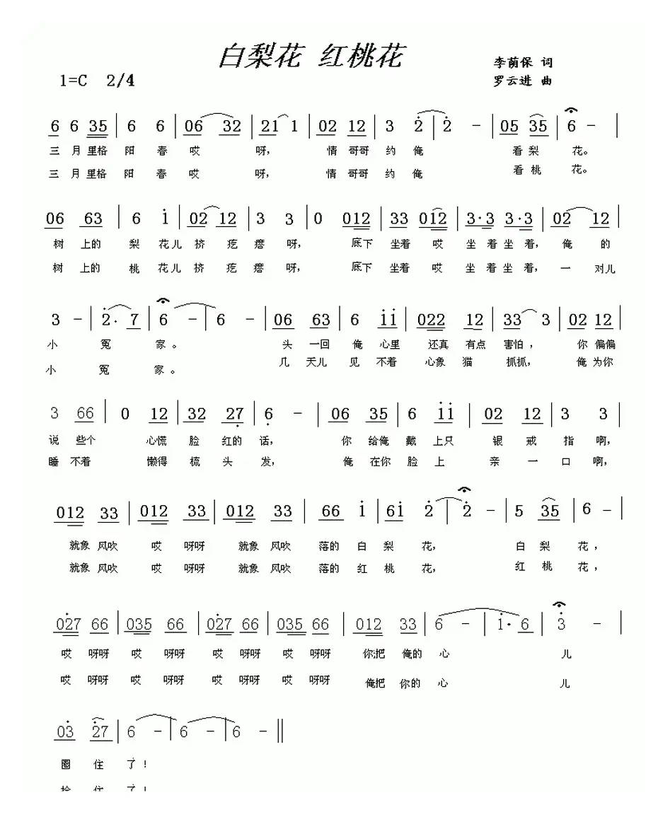 白梨花 红桃花（罗云进曲）
