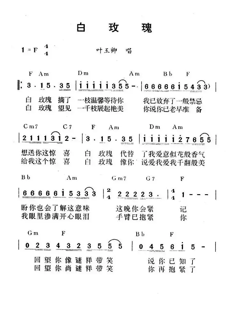 白玫瑰