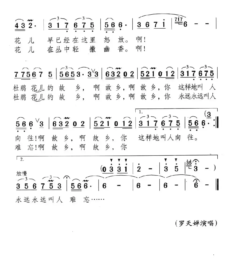 杜鹃花的故乡