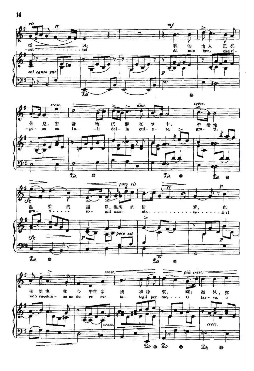[意]围绕转我崇拜的人儿（中外文对照、正谱）