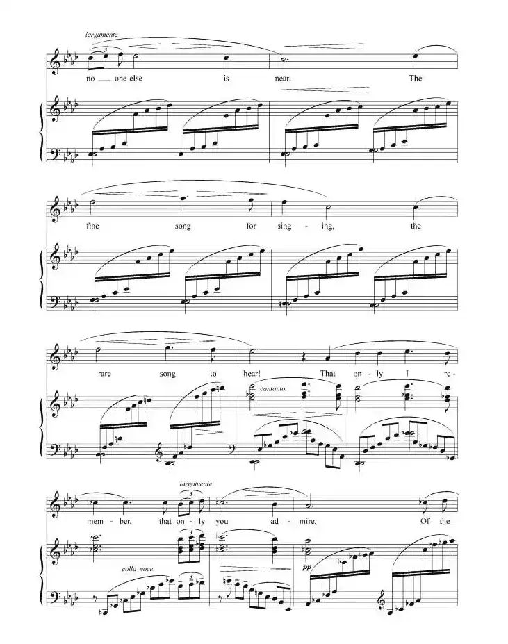 路边的烟火（正谱 [英]）