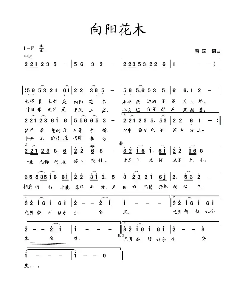 向阳花木