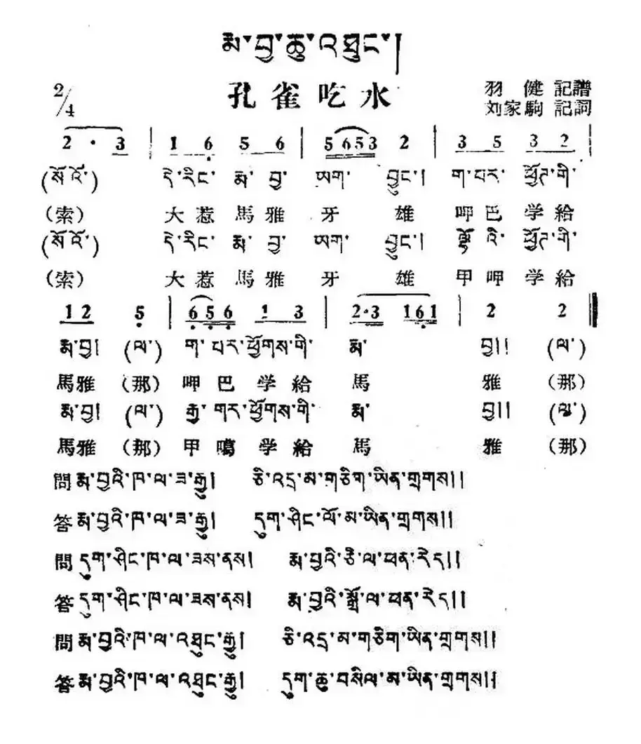 孔雀吃水（藏族民歌、藏文及音译版）