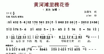 歌谱|黄河滩里槐花香 作词:李荫保 作曲:王清明 演唱:金苗