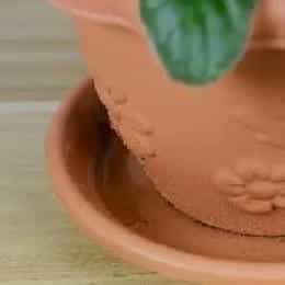 沈羽缇的头像